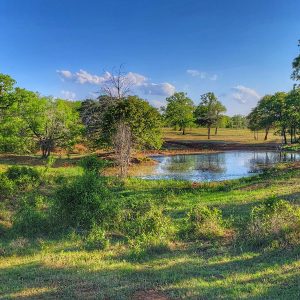 Platt Ranch