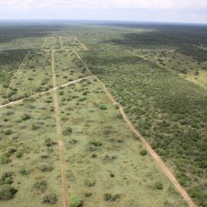 Farias Ranch