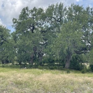 The 46 Ranch
