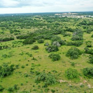 Wild Turkey Ranch